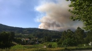 13662081_1766185530261745_4000018267854281377_o