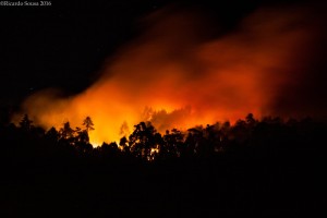 13690905_1334979599863633_2358183774359899677_o