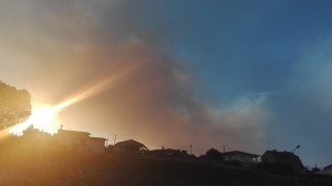 13697075_1298558893502712_7030722662645613962_n