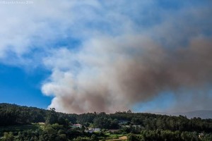 13700028_1298558856836049_3581591407531337556_n