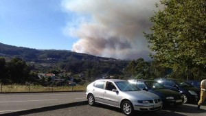 13707575_1298558823502719_5055159297844757215_n