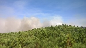 13909285_1766185640261734_2840681499192626436_o