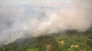 13913802_1766185780261720_821399455105015019_o