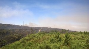 13914076_1766185643595067_4634149795526761802_o