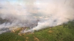 13920553_1766185753595056_9013080479352028796_o