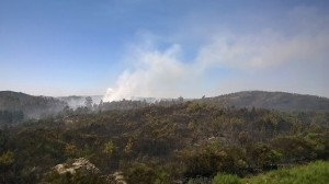 13923777_1766185603595071_3618173379569841089_o